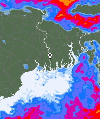 Precipitazioni