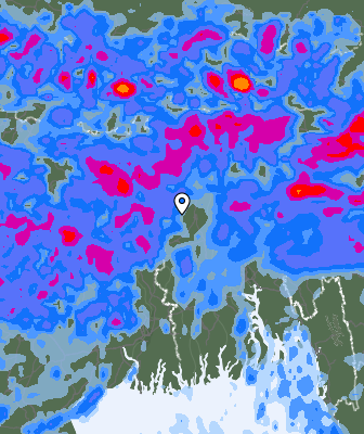 Precipitação