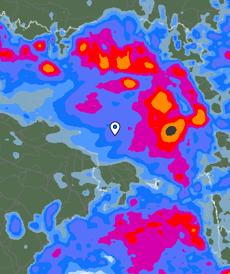Валежи