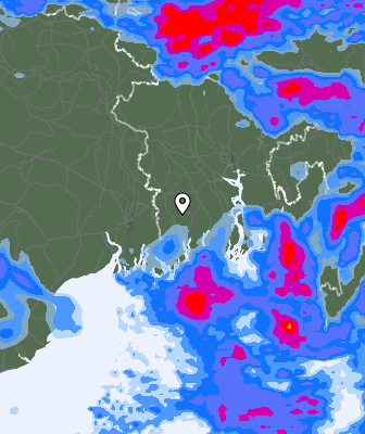 Precipitazioni