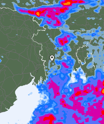 Precipitazioni
