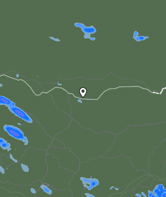 Валежи