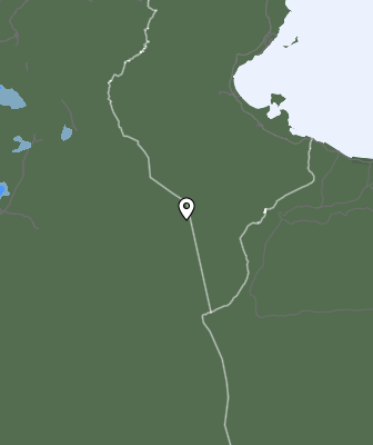 Валежи