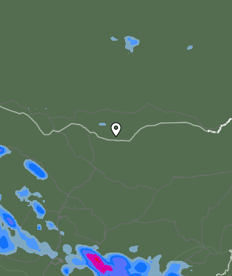 Валежи
