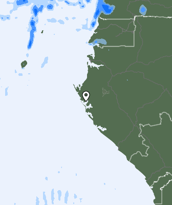 Precipitação