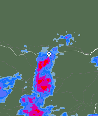 Niederschlagsprognose