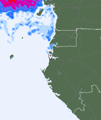 Niederschlagsprognose