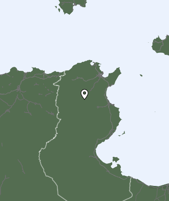 Precipitaţii