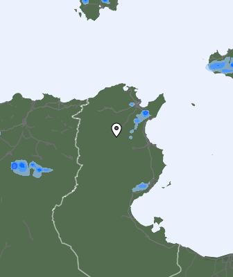 Precipitaţii