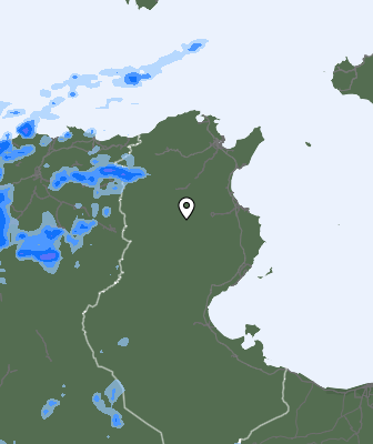 Precipitaţii