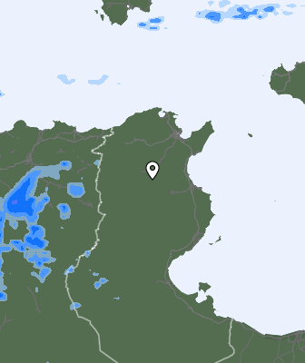 Precipitaţii