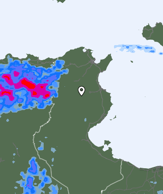 Precipitaţii