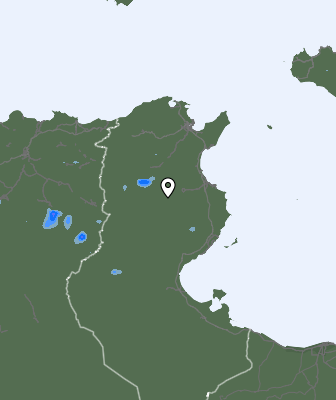 Precipitaţii