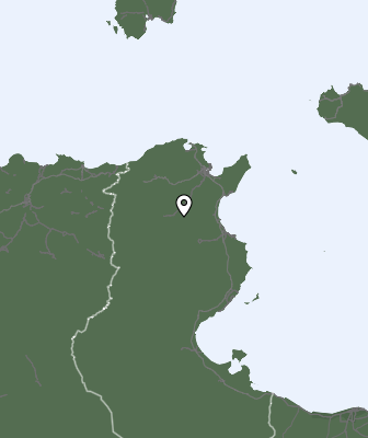 Precipitaţii