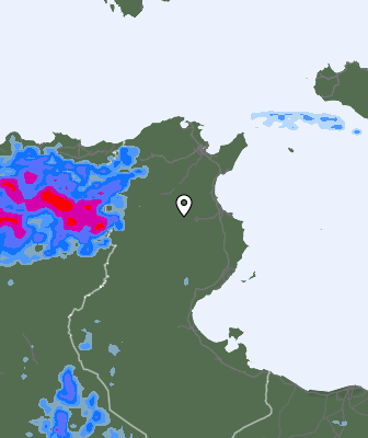 Precipitaţii