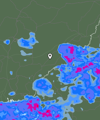 Niederschlagsprognose