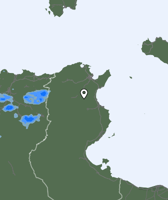 Precipitaţii