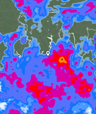 Precipitazioni