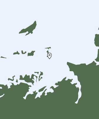 Neerslag